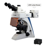 Fluorescence Microscope  43-FMS200