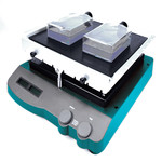 See Saw Rocking shaker 14A-SSR101